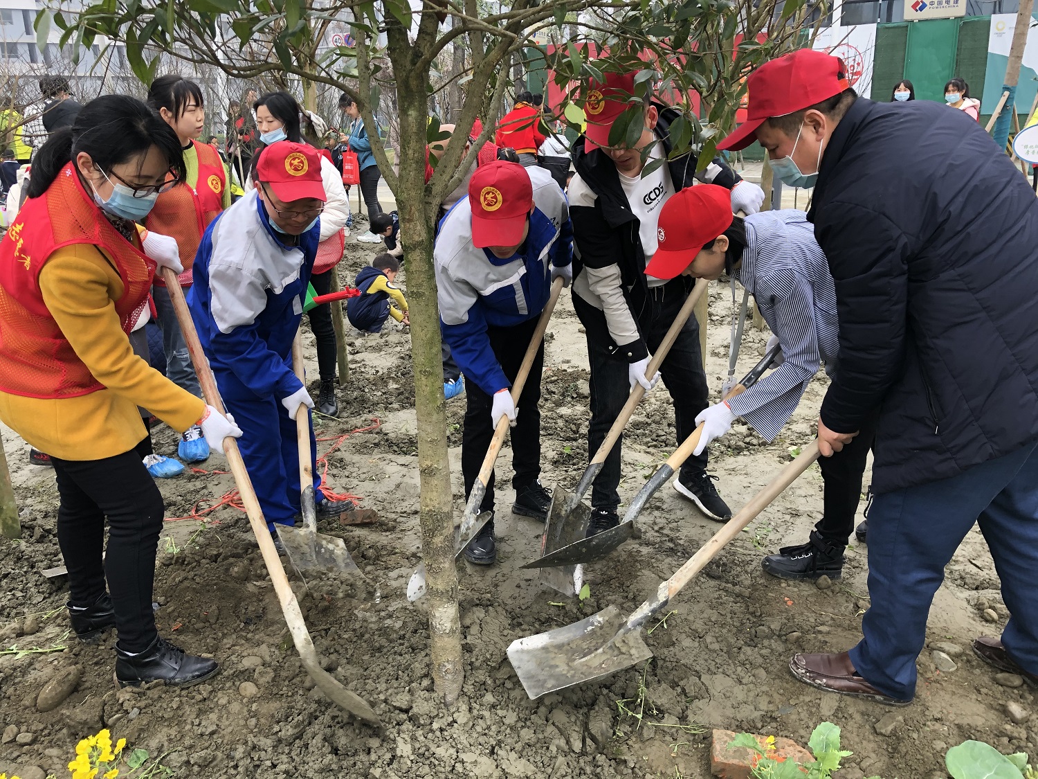 2021年植树节运动